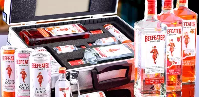 Geschenk-AL-Koffer mit Gin