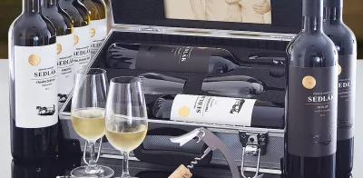 Geschenk-AL-Koffer mit Wein